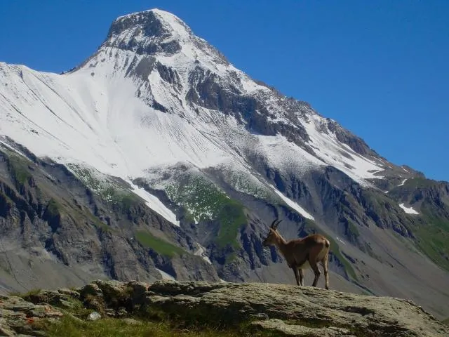 Wandertour Vanoise Nationalparks