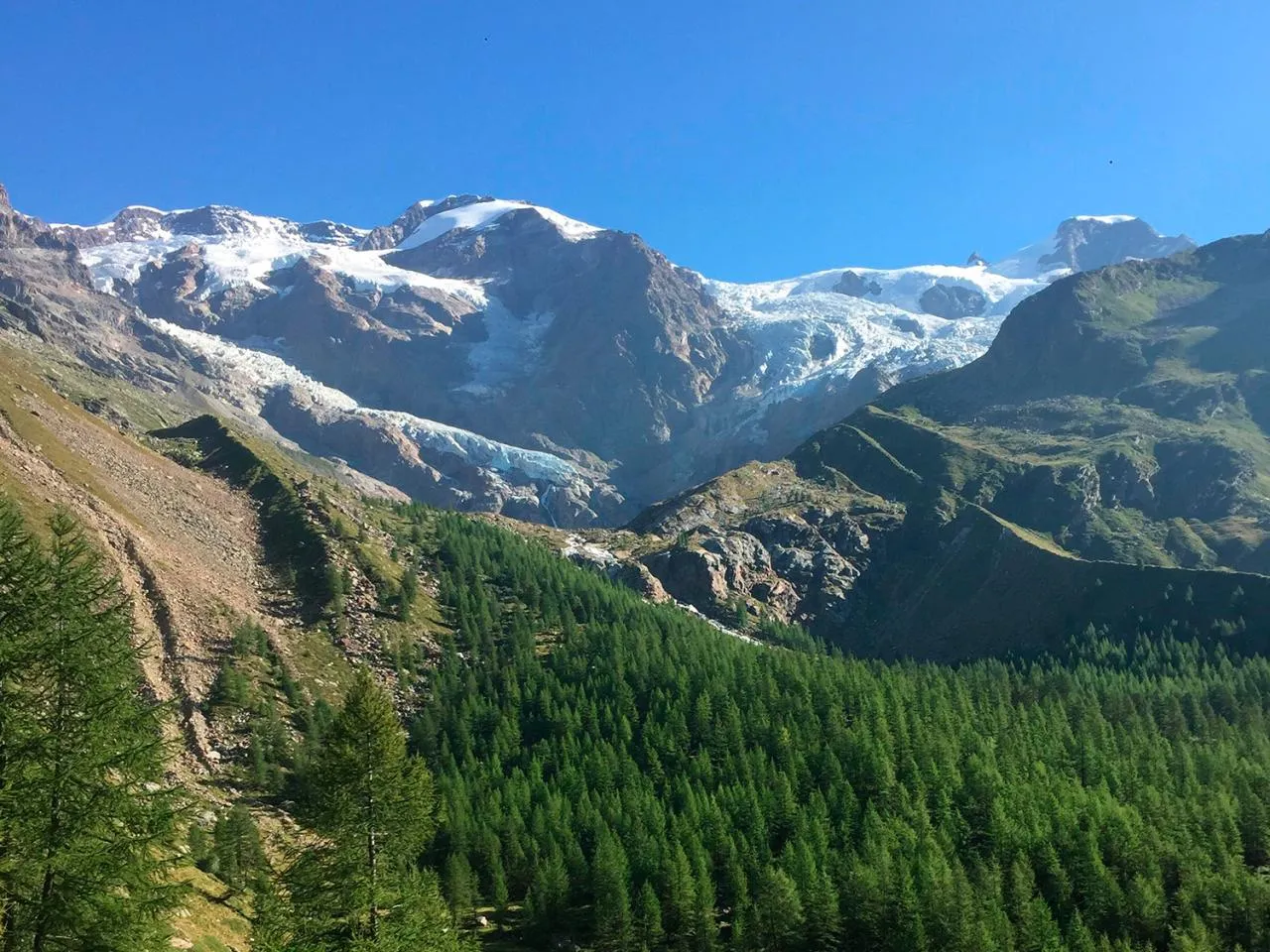 Mont Rose Sauvage Alpi Punta Gnifetti